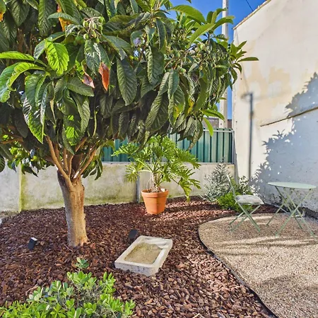Cozy 1br W/ Ac, Terrace & Shared Garden - | By Airnest * Almada